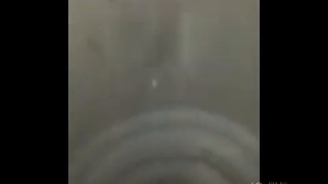 Всесезонные (т.е. плюсом ещё и зимние) воблеры в действии...