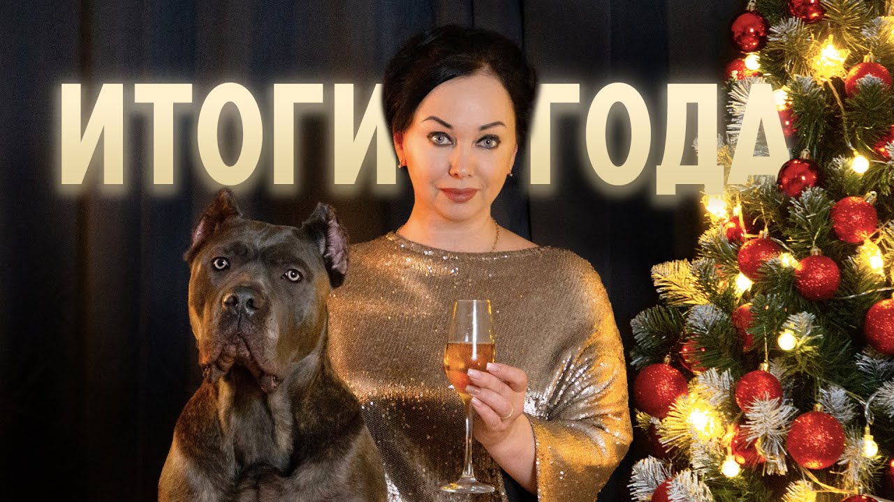 Итоги года - Dogville смотреть онлайн