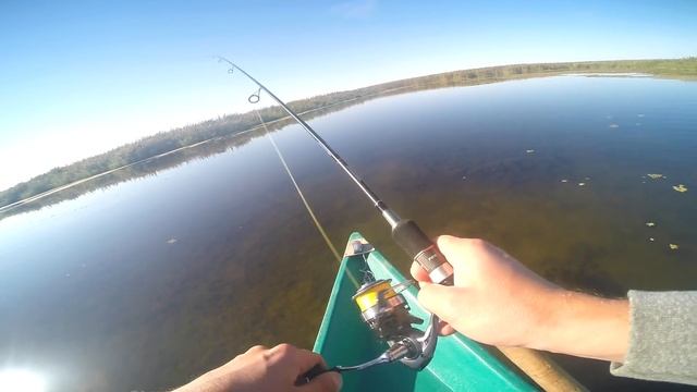 Рыбалка в Астрахани на раскатах щука окунь Каралат Олигри Fish осень 2015 смотреть онлайн