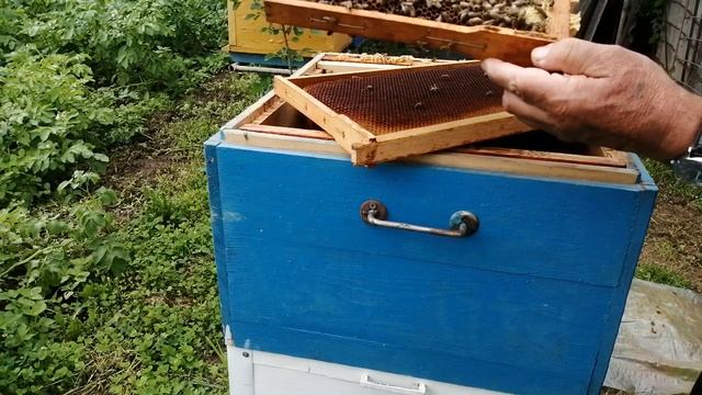 Увеличиваем медосбор на пасеке. смотреть онлайн