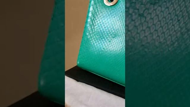 Lady Dior Emerald Python leather Sep 19 2019 shipped смотреть онлайн