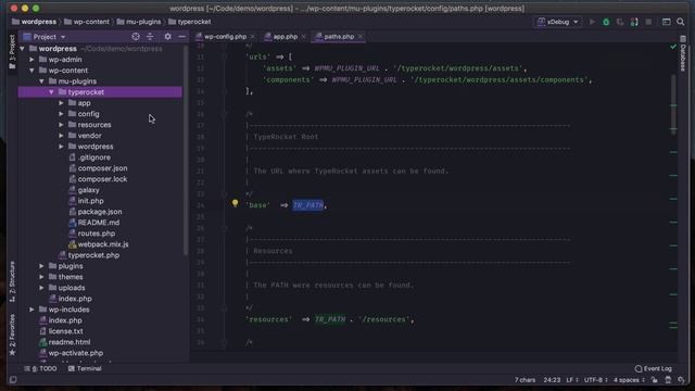 Install TypeRocket: Configuring TypeRocket смотреть онлайн