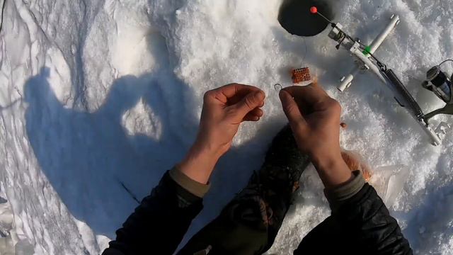 Зимняя рыбалка на ленка...Взял Любовь Андреевну с собой и остался хорьком смотреть онлайн