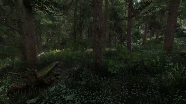 Skyrim SE 2022 Ultra Modded | Easily achievable Next Gen Realistic Graphics | Realistic forest смотреть онлайн