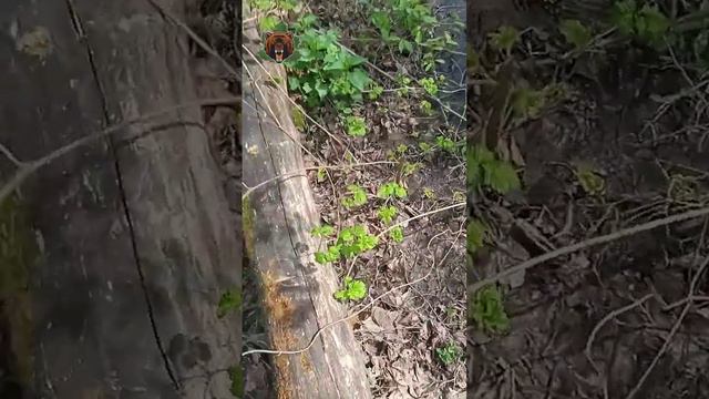 Два озера часть вторая. смотреть онлайн