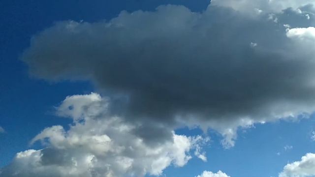 Небо Питера - это бренд! | О красоте неба в Санкт-Петербурге смотреть онлайн