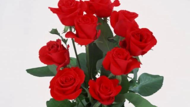 Roses From The South- Johann Strauss