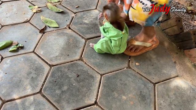 Nouti MODY Draq Mom’s Hand Ask For A Milk Share Too смотреть онлайн