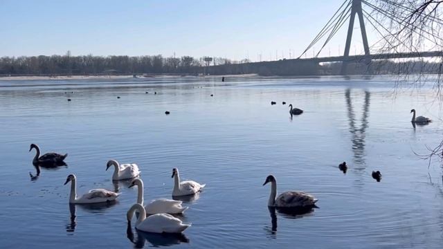 Молитва в Чистый четверг 2023 смотреть онлайн