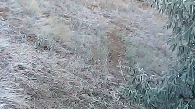 Поездка в Мержаново, Ростовская область смотреть онлайн