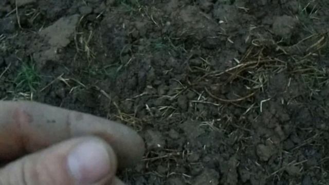 ЖЕСТЬ СТОЛЬКО ЗОЛОТА Я ЕЩЁ НЕ НАХОДИЛ!!! смотреть онлайн