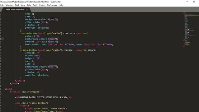 Custom Radio Input Button using HTML and CSS || Input Type Radio смотреть онлайн