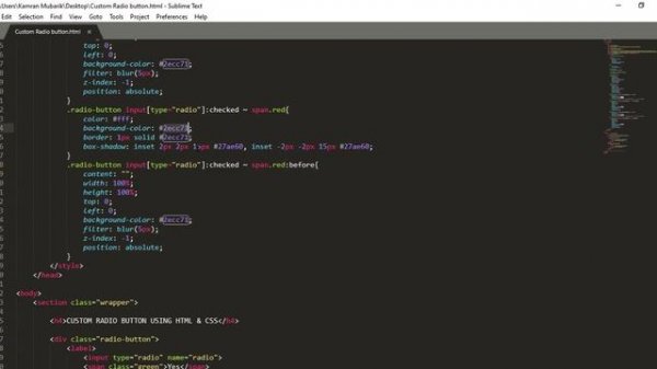 Custom Radio Input Button using HTML and CSS || Input Type Radio