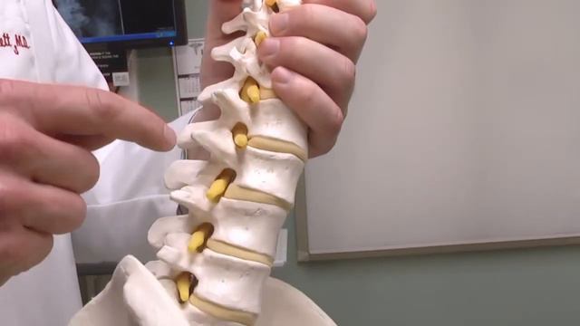 Ask UNMC: Slipped Vertebrae смотреть онлайн