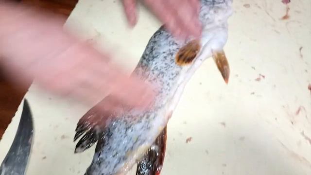 ФАРШИРОВАННАЯ ЩУКА--СУПЕР РЕЦЕПТ.Vselennaya uvlecheniy смотреть онлайн