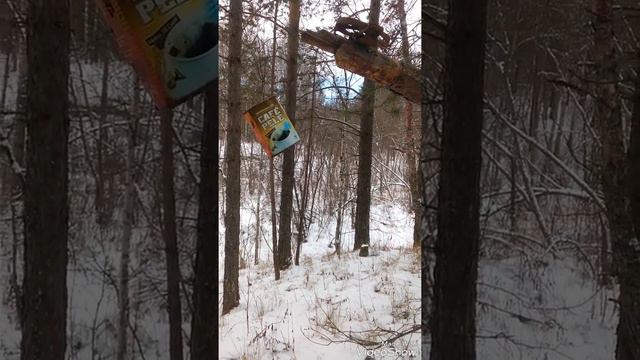 ,ПРОВЕРКА КАПКАНОВ ,все пусто смотреть онлайн