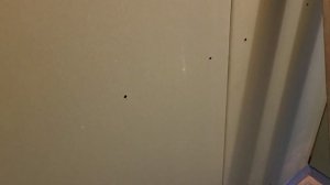 Чем сверлить ацэидовые стены.Обшивка ванной листами гипсокартона.