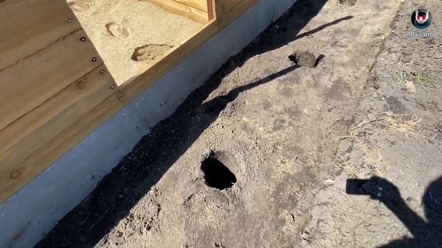 Дренаж в вольерах для фазанов. Содержание фазанов. Drainage in pheasant enclosures. смотреть онлайн
