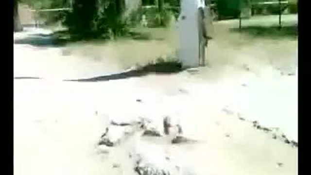 С Днём Рождения смотреть онлайн