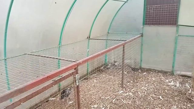 Курятник из старой теплицы. Своими руками. смотреть онлайн