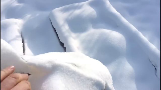 КАК ИСПОЛЬЗОВАТЬ ПИЩЕВЫЕ ОТХОДЫ,ЧТОБЫ ПОЛУЧИТЬ ПОЛЬЗУ?! смотреть онлайн