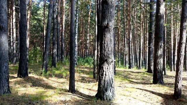 Просто любимое занятие в выходной смотреть онлайн