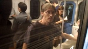 Замоскворецкая линия метро.  Речной вокзал -  Домодедовская.