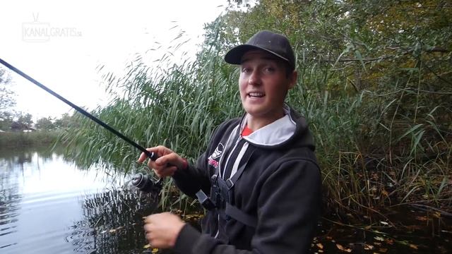 DROPSHOT Guide - Effective Rig In Perch Fishing