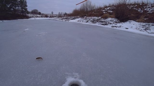 УШЛИ ОТО ВСЕХ и НАЛОВИЛИ! Окунь и плотва на безмотылку! Первый лёд тает.. Зимняя рыбалка 2021 - 202 смотреть онлайн