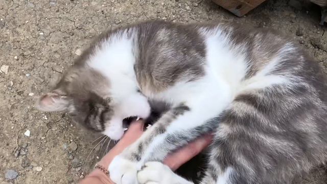 Уже страшно во двор заходить :-) (22.06.21) смотреть онлайн