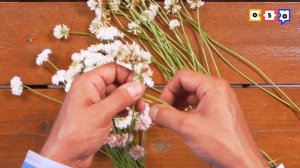 Как сплести венок из цветов?