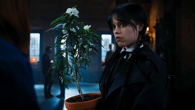 These Bullies Don't Realize That The New Transfer Student Is A Violent Fighter | Wednesday #8 смотреть онлайн