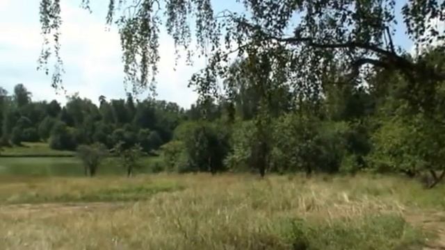 Гребнево Усадьба смотреть онлайн