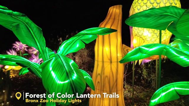 Bronx Zoo Holiday Lights - Full Tour смотреть онлайн