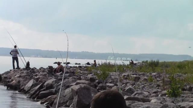 дамба 2014 г смотреть онлайн
