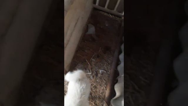 Буран первый урок!)