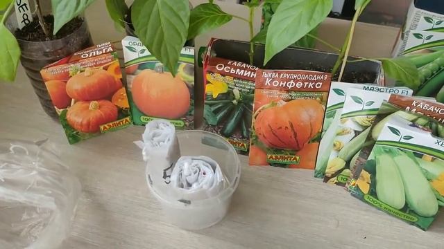 205. Посадка КАБАЧКОВ на рассаду! Два супер способа! Получим ранний урожай! смотреть онлайн