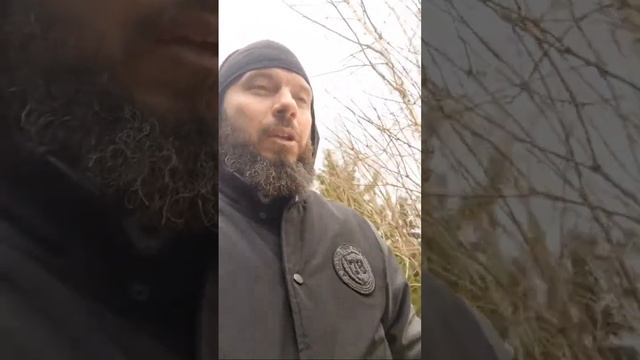 Эфир от Матронушки! Покаяние! Мера! Плоды его! Деятельность смотреть онлайн