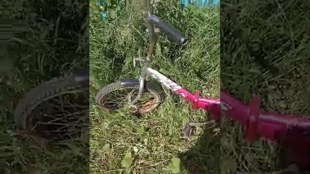 Жизнь в деревне.Трава,трава у дома,зелёная трава! смотреть онлайн