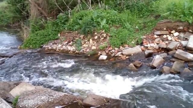 ЛОВЛЯ СОМА на ЗАКИДУШКИ с ЛЯГУШКОЙ смотреть онлайн