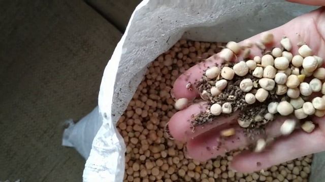 Сидерат горох с Озона. смотреть онлайн