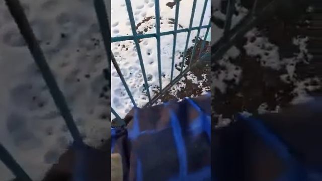 Басс тест колонки jbl(2) смотреть онлайн