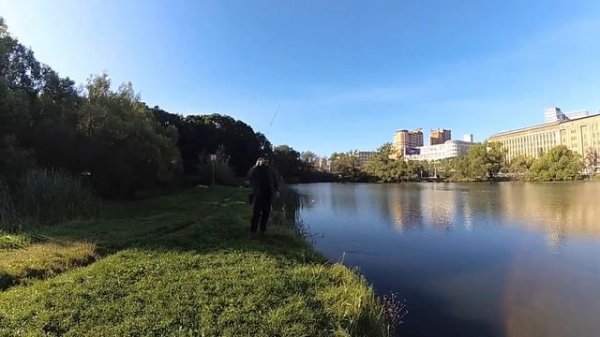 010 - Итоговое тестирование Smith Fieldream FLDB 59 UL