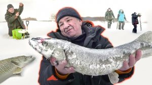 ПО ЩУЧЬЕМУ ВЕЛЕНЬЮ. НА РЫБАЛКУ С ЖЕНОЙ | C ПОЛЕМ!