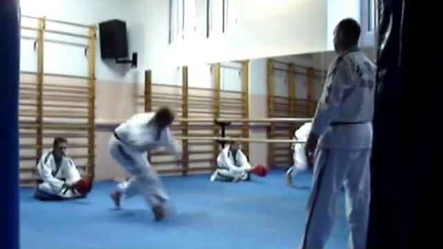 Korea Hapkido Jin Jung Kwan
