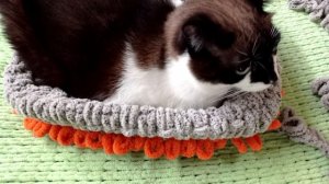 Лежанка для собаки из ализе пуффи