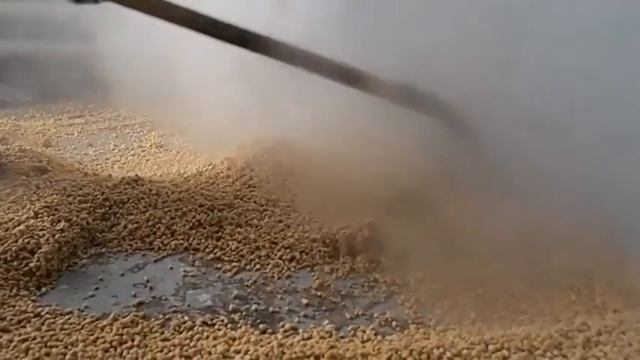 Экструдер для производства корма для рыбы и petfood 500 кг/час смотреть онлайн