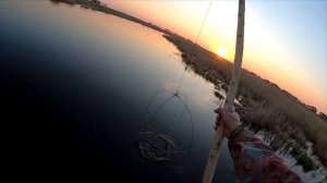 РЫБАЛКА НА ПАУК.ЛУЧШИЕ ПОДЪЁМЫ ПАУКА ЗА ВСЁ ВРЕМЯ СУЩЕСТВОВАНИЯ КАНАЛА Fishing-Life "РЫБАЛКА-ЖИЗНЬ"
