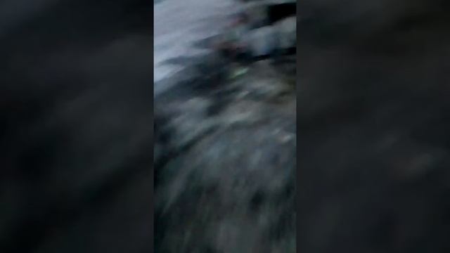 VLOG:2 часть/Я пишу рассказы и стихи/Что творится у нас во дворе. смотреть онлайн