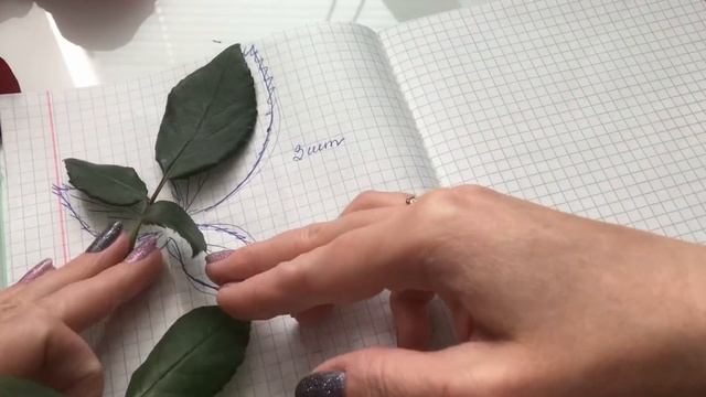РАЗБОР НАСТОЯЩЕЙ РОЗЫ смотреть онлайн